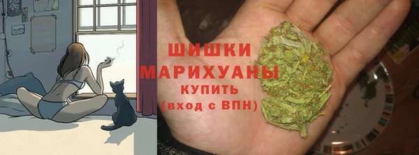 хмурый Богородицк