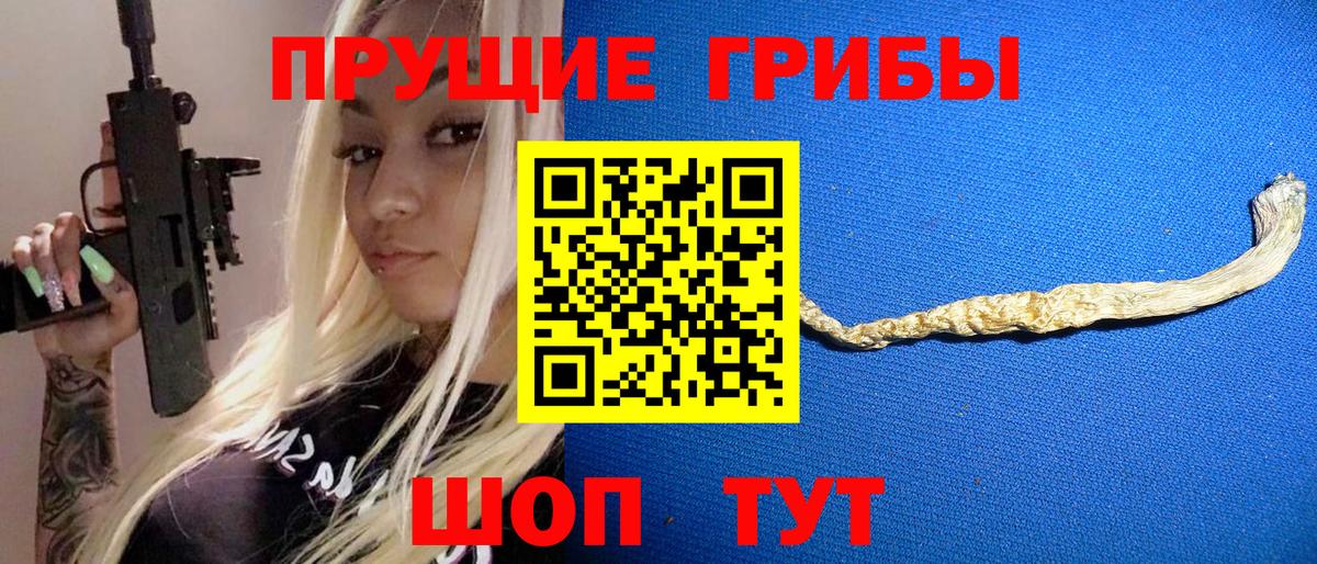Псилоцибиновые грибы Psilocybine cubensis Брянск