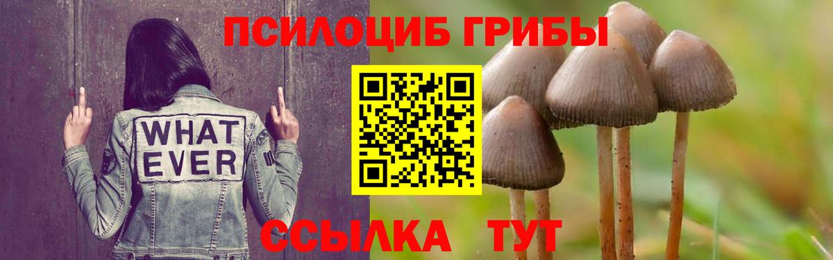 Галлюциногенные грибы Magic Shrooms  Вход с VPN  Брянск 